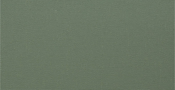 ОМЕГА 5853 зеленый 250 см